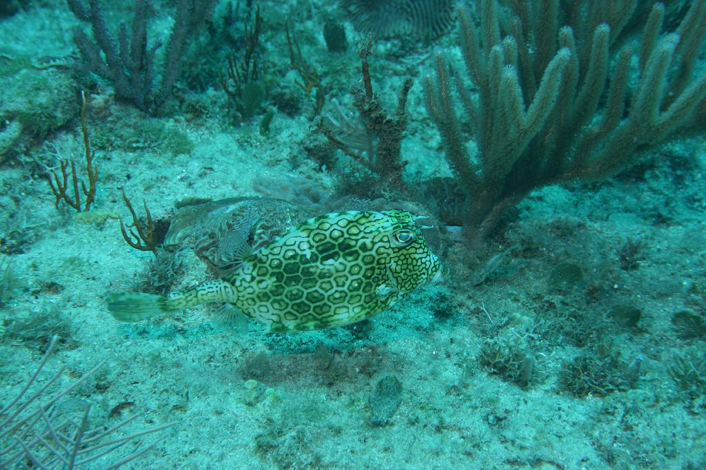 2008-05-19 14-59-20 H.JPG
